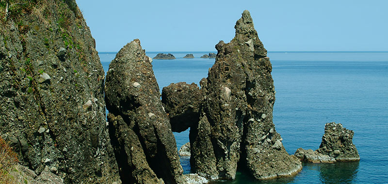 ふるばやし 近隣を散策すれば魅力的な観光名所満載